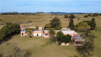 Farm For Sale in Alexandria