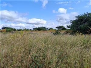 Industrial For Sale in Magna Via Industrial