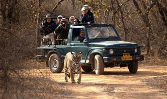 Info about Ranthambore National Park Safari Online Booking 