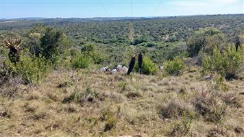 259 ha Stock Farm Near Bathurst