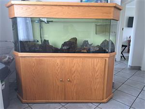 Fish tank with cabinet - Wood