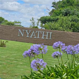 🌿 Stand for Sale – Nyathi Private Game Reserve, Waterberg
