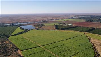 Operational farm on the Crocodile river on Auction