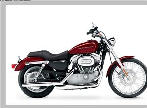 Harley Davidson Sportster 883 Custom Low
