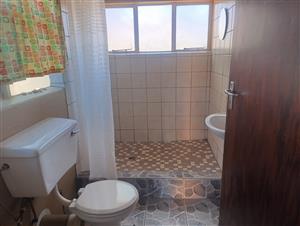 BACHELOR FLAT TO RENT - MAYVILLE