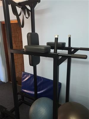 Pullup chin ab and tricep machine