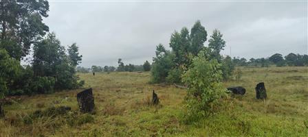 Prime 22000 m² vacant land for sale in Greenbushes, Port Elizabeth—your canvas for future dreams!