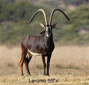 Farm For Sale in Mica