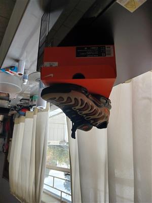 Nike Air Max Plus Drift sneakers in Khaki and Gray