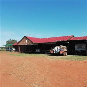 Lovely Dairy and chicken farm for sale 