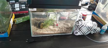 Fish tanks with  accessories 