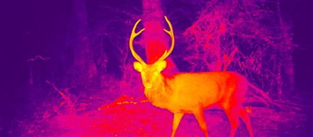 Thermal monocular