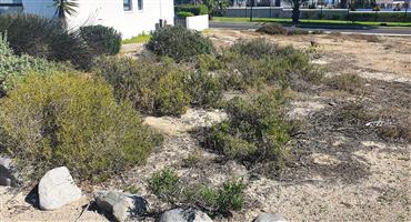 Build your dream home in the secure & peaceful seaside Shelley Point golf estate