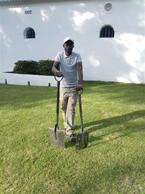 GARDENER/HORSE GROOMER SEEKS WORK