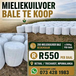 Mielie Kuilvoerbale te koop
