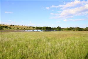 Farm For Sale in Heilbron