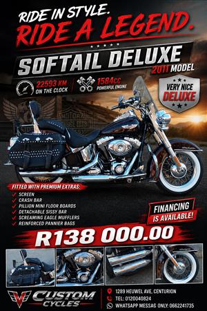 Very Nice 2011 Softail Deluxe!