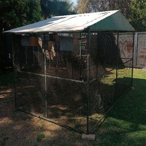 Bird cage 3mx2mx2m
