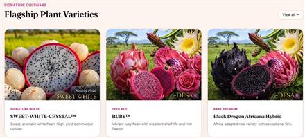  Healthy Fields WorldwideTM – Premium Dragon Fruit Plant Varieties
