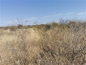 1245SQM VACANT STAND FOR SALE IN THORNHILL –  NEW LUXURY ESTATE LIVING