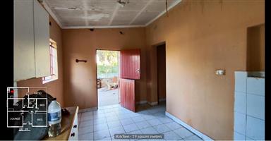 Unlock the Potential with this Primrose Fixer Upper on Large Stand