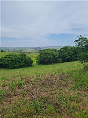 Helmsley Country Estate – Nature | Family | Country