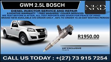 GWM 2.5L Diesel Injectors 