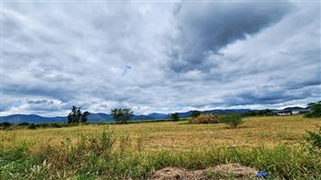 Exclusive Vacant Commercial Stand - For Sale