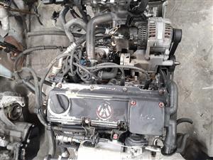 GOLF ADY 2.OL ENGINES FOR SALE 