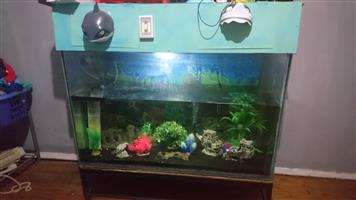 Secondhand fish tank for sale.