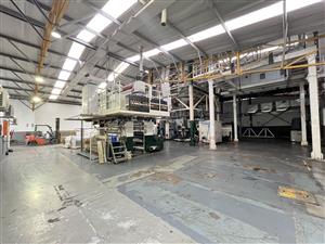 Industrial Facility with 3-Phase Power – 4 Maplefield Place, Springfield Park