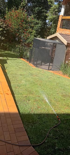 KIKUYU, LM & EVERGREEN INSTANT LAWN 
