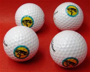 Golf Balls - Titleist FNB - Promotional x 4