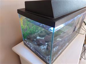 30 Litre Fish Tank 🐟 