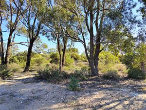 Rare opportunity to own a 400m2 vacant land in Britannia Beach Estate, St Helena Bay - build your dr