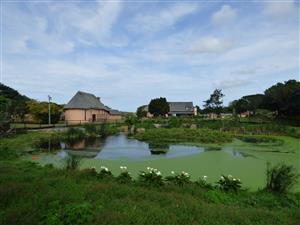 A Perfect Blend of Country Charm and Town Convenience