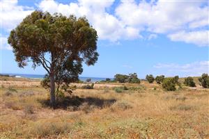 Vacant land for Sale in Kapteins Kloof, St Helena Bay