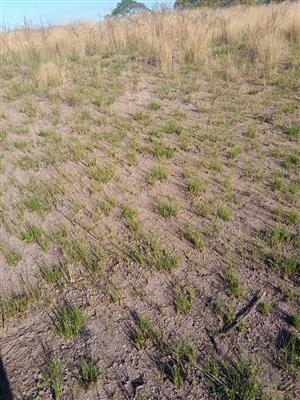 Site for Sale Durban Adams Mission