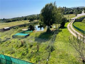 Prime 15-Hectare Income & Development Opportunity – R82 Frontage