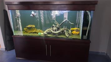 Fish tanks 2025 for sale junkmail