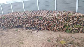 1.5m pre -marking stakes