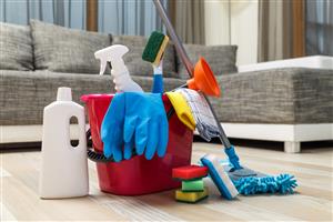 Residential and Carpet Cleaning Services