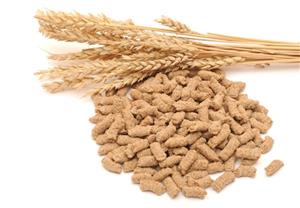 Wheat bran for horse feed