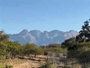 House For Sale in Blyde Wildlife Estate