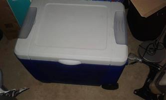 24L Thermo electric cooler/warmer
