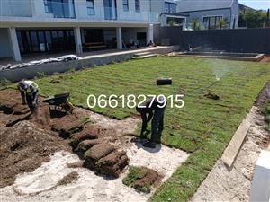 BUFFALO  KIKUYU  CYNODONE  GULF GREEN  LM BEREA  SUPPLY AND INSTALLATION 
