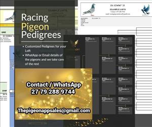 Pigeon Photo Editing and Pedigrees