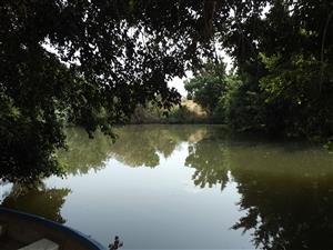 Farm - Excellent location