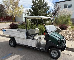 2018 Cushman for Sale 