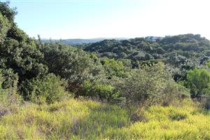 LOVELY ELEVATED PLOT